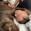 ���������� ������, ���� ������� �������, 41 ���, ������������ ��� ������, ����� � ���������, c�������� ���������