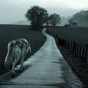 ���������� ������, ���� ������� Az Mkrtchyan, 31 ���, ������������ ��� ������