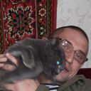  ,   , 58 ,   