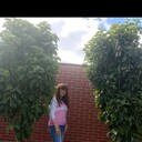  -,   , 31 ,   