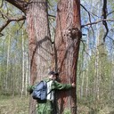 ���������� ������ ��������, ���� ������� ������, 43 ����, ������������ ��� ����� � ���������