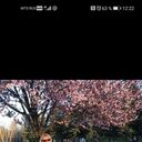  ,   , 55 ,   ,   , c 