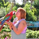 ���������� ������, ���� ������� ����, 56 ���, ������������ ��� ����� � ���������, c�������� ���������