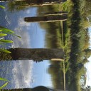 ���������� ����������, ���� ������� Maksim, 34 ����, ������������ ��� ������, ����� � ���������, c�������� ���������