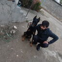 ���������� ������, ���� ������� �����, 35 ���, ������������ ��� ������, ����� � ���������, c�������� ���������