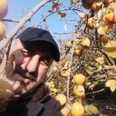 ���������� �������, ���� ������� ����, 69 ���, ������������ ��� c�������� ���������