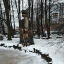 ���������� �����-���������, ���� ������� �������, 57 ���, ������������ 