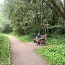 ���������� ������, ���� ������� A����, 43 ����, ������������ ��� ������, ����� � ���������