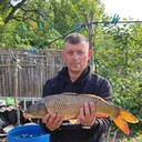 ���������� ��������, ���� ������� �����, 36 ���, ������������ ��� ����� � ���������, c�������� ���������, ���������