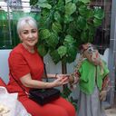 ���������� �����������, ���� ������� ��������, 55 ���, ������������ ��� ������, ����� � ���������