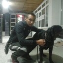 ���������� ���������, ���� ����� ������, 24 ����, ������������ ��� ����� � ���������, c�������� ���������