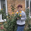 ���������� ��������, ���� ������� �������, 55 ���, ������������ ��� c�������� ���������