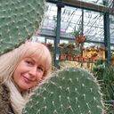 ���������� ������, ���� ������� �����, 53 ����, ������������ ��� ����� � ���������, ���������