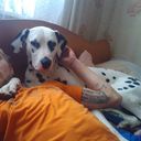 ���������� �������, ���� ������� ������, 35 ���, ������������ ��� ����� � ���������, c�������� ���������