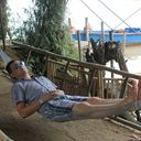 ���������� ������, ���� ������� ����, 36 ���, ������������ ��� ������