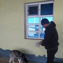  ,   Albert, 49 ,   ,   