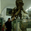  ,   , 48 ,   