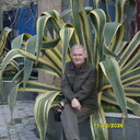  ,   , 74 ,   c 