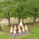 ���������� ������, ���� ������� Svetlaya, 60 ���, ������������ ��� ����� � ���������, ���������