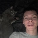   ,   , 29 ,   ,   , c 