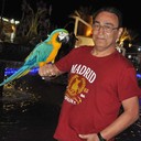 ���������� ������, ���� ������� �����, 64 ����, ������������ ��� ������, ����� � ���������, c�������� ���������