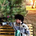 ���������� �������, ���� ������� SHAXRIYOR, 45 ���, ������������ ��� ������, ����� � ���������, c�������� ���������