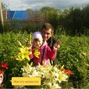  ,   , 51 ,   ,   , c 