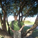  -,   , 38 ,   ,   , c 