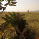  ,   , 51 ,     , c 