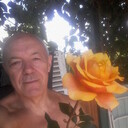  ,   , 72 ,   ,   , c 