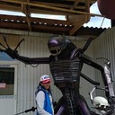  ,   , 42 ,   ,   , c 