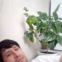  ,   , 44 ,   ,   