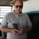  ,   , 64 ,   , 