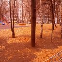 ���������� ������, ���� ������� ����, 46 ���, ������������ 