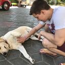 ���������� ������, ���� ������� ����, 29 ���, ������������ ��� c�������� ���������