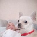 ���������� ������, ���� ������� ����, 55 ���, ������������ ��� ������, ����� � ���������