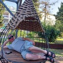  ,   , 61 ,     