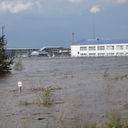 ���������� �����������-��-�����, ���� ������� �������, 55 ���, ������������ 