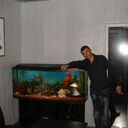  ,   , 37 ,   ,   