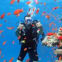 ���������� �������, ���� ������� ������, 43 ����, ������������ ��� ������, ����� � ���������, ���������