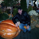 ���������� ������, ���� ������� �������, 72 ����, ������������ ��� ������, ����� � ���������, c�������� ���������