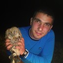 ���������� ������, ���� ������� ����, 36 ���, ������������ ��� ������, ����� � ���������, c�������� ���������