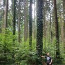 ���������� ������, ���� ������� �������, 43 ����, ������������ ��� ������, ����� � ���������