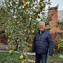 ���������� ���������, ���� ������� ������, 67 ���, ������������ ��� c�������� ���������