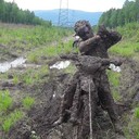 ���������� ���������, ���� ������� ���������, 34 ����, ������������ ��� ������, ����� � ���������, c�������� ���������