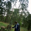 ���������� ����, ���� ������� �����, 59 ���, ������������ ��� ������, ����� � ���������, c�������� ���������