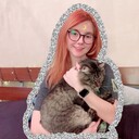 ���������� ������, ���� ������� ����, 28 ���, ������������ ��� ����� � ���������, c�������� ���������