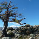 ���������� �����������, ���� ������� �����, 65 ���, ������������ ��� ������, ����� � ���������, c�������� ���������