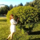 ���������� ���������, ���� ������� �����, 26 ���, ������������ ��� ������, ����� � ���������, c�������� ���������