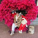 ���������� ������, ���� ������� �������, 45 ���, ������������ ��� ������, ����� � ���������